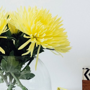 home decorators melbourne