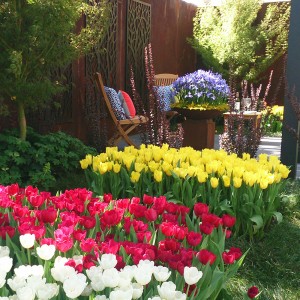 property styling melbourne
