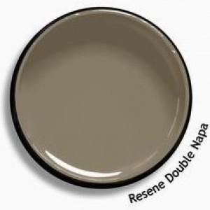 Alternative paints to white
