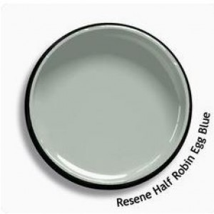 Alternative paints to white