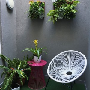 home staging melbourne